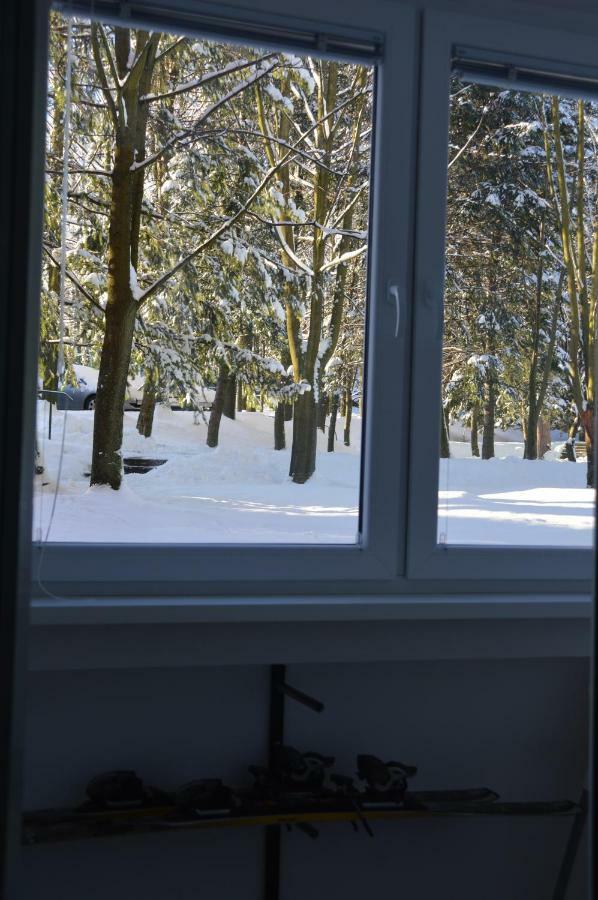 Apartament Izerski Klimat Świeradów-Zdrój 外观 照片